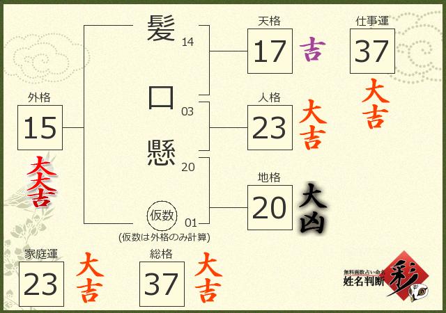 診断結果画像