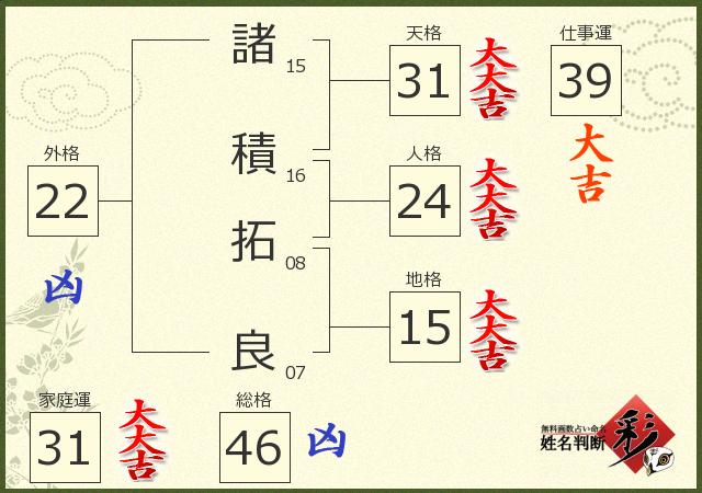 診断結果画像