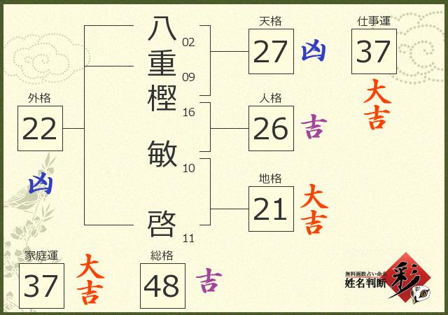 診断結果画像