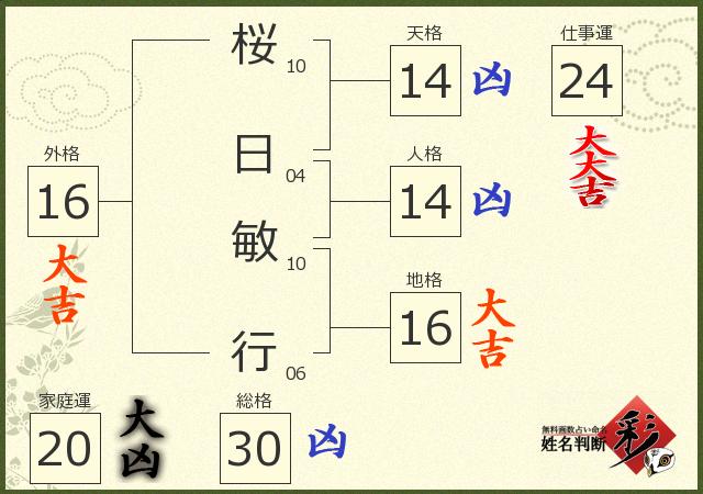 診断結果画像