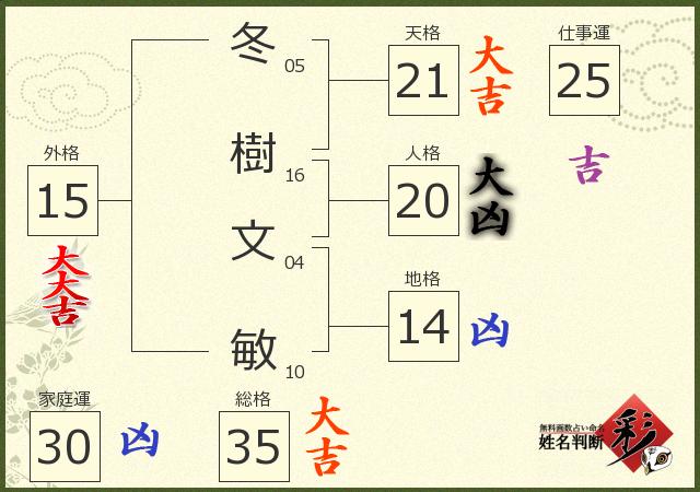 診断結果画像