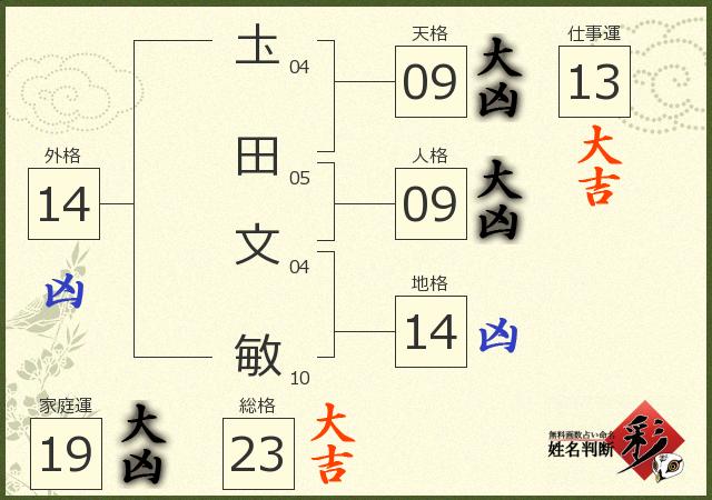 診断結果画像