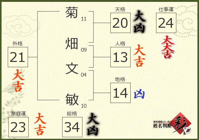 診断結果画像