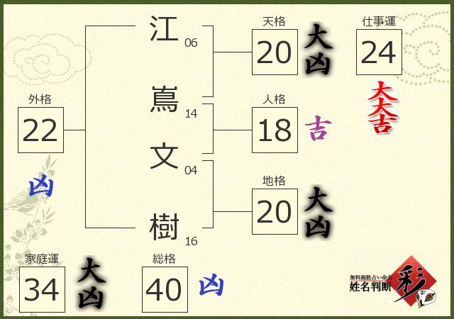 診断結果画像