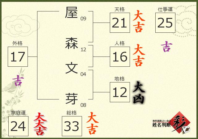 診断結果画像