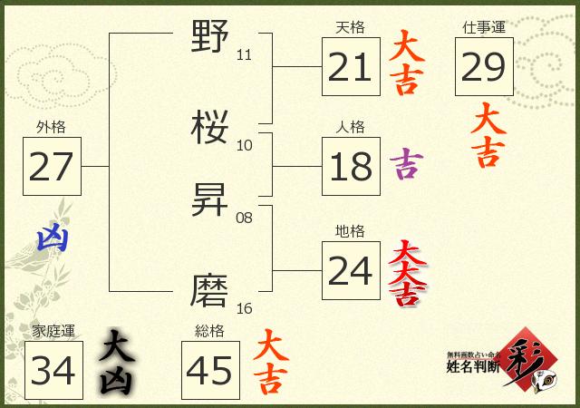 診断結果画像