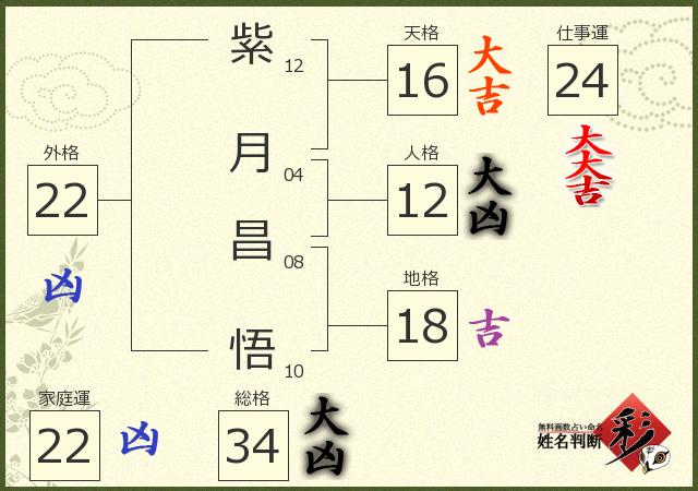診断結果画像