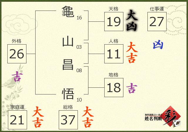 診断結果画像