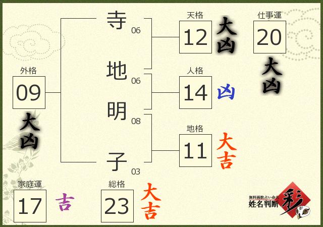 診断結果画像