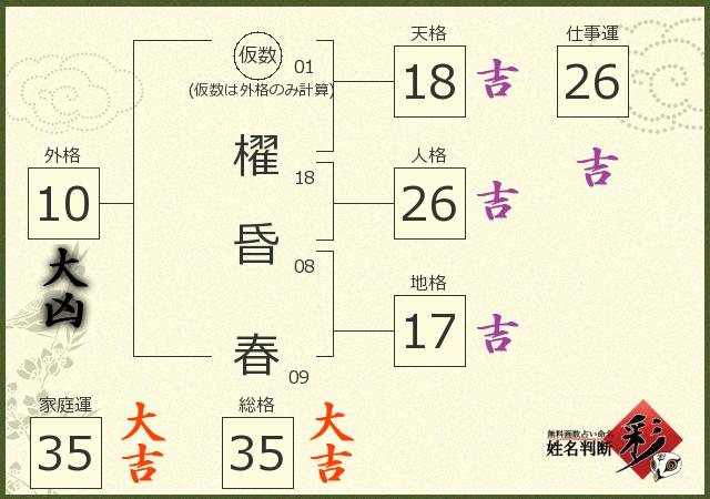 診断結果画像