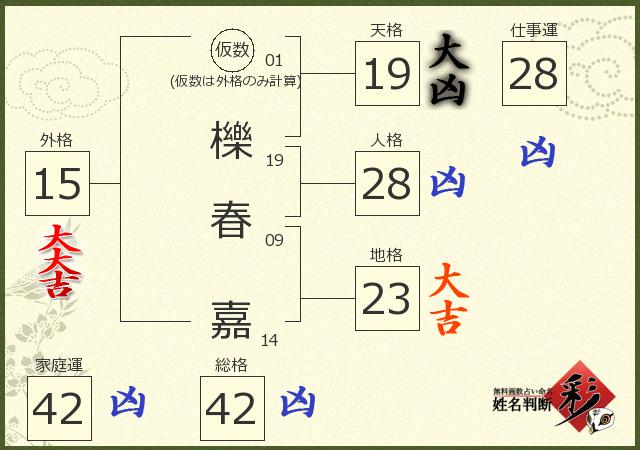 診断結果画像