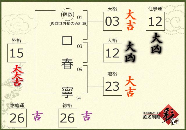 診断結果画像