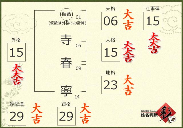診断結果画像