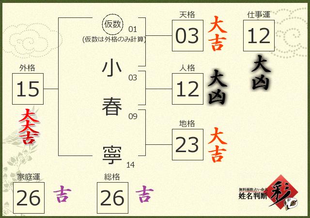 診断結果画像