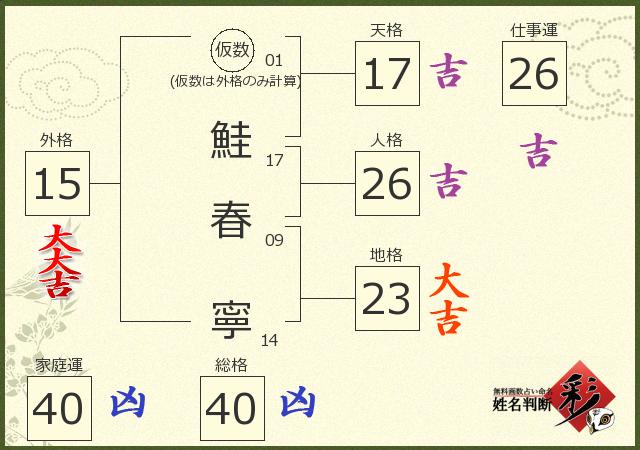診断結果画像