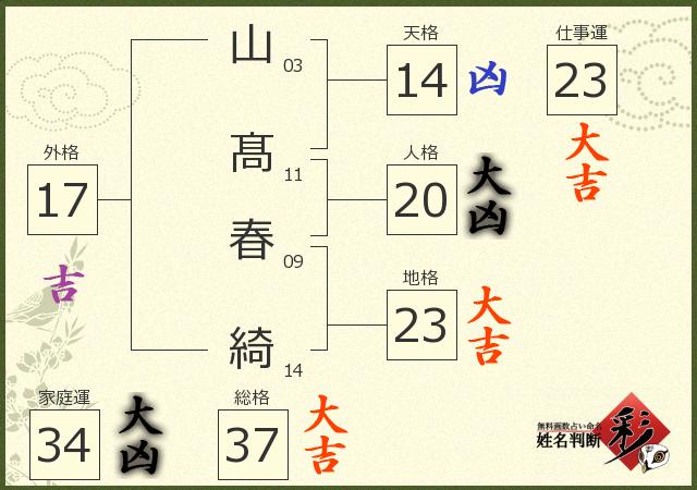 診断結果画像