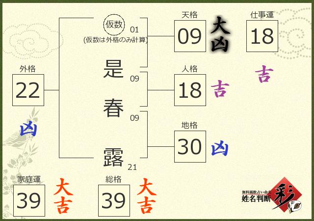 診断結果画像