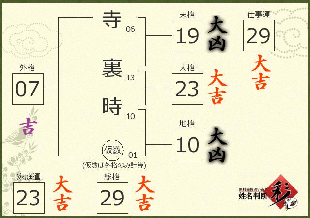 診断結果画像