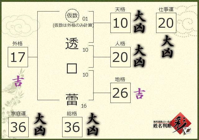 診断結果画像