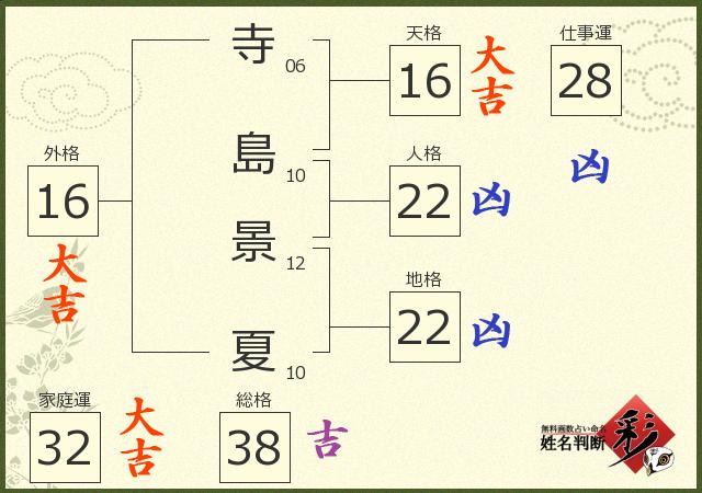診断結果画像