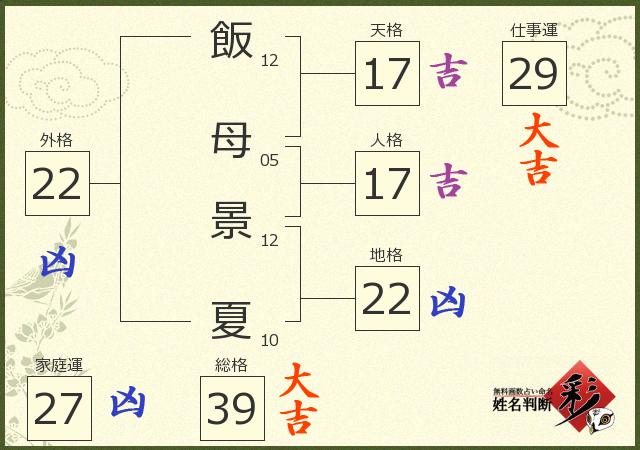 診断結果画像