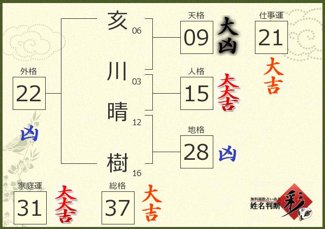診断結果画像