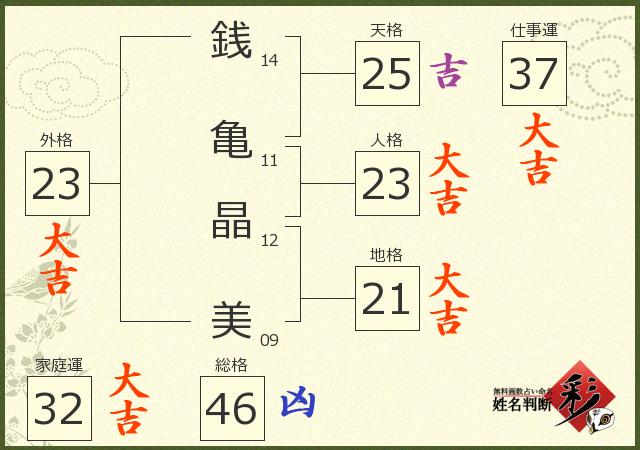 診断結果画像