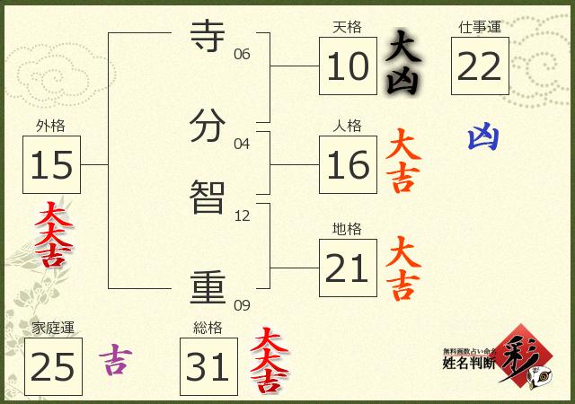 診断結果画像