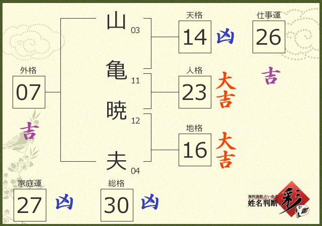 診断結果画像