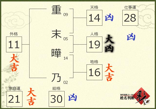 診断結果画像