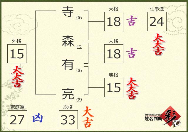 診断結果画像