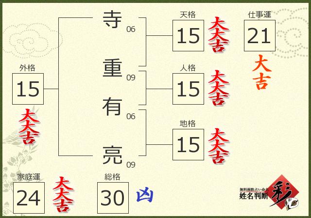 診断結果画像