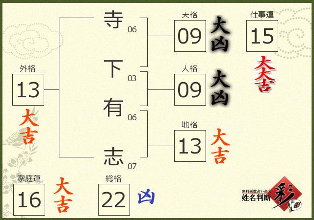 診断結果画像
