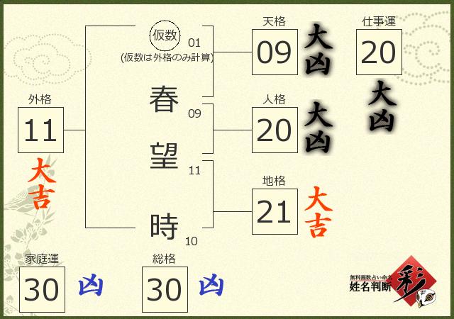 診断結果画像