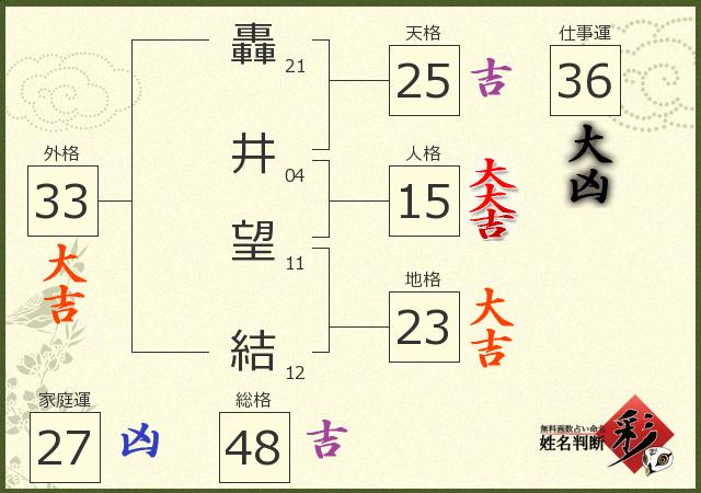診断結果画像