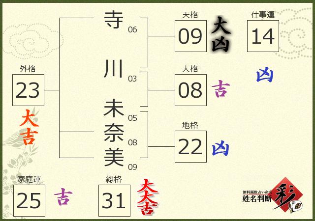 診断結果画像