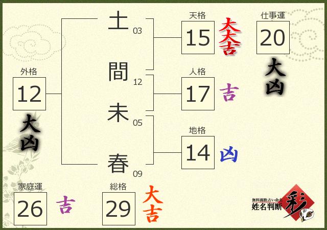 診断結果画像