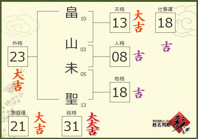診断結果画像