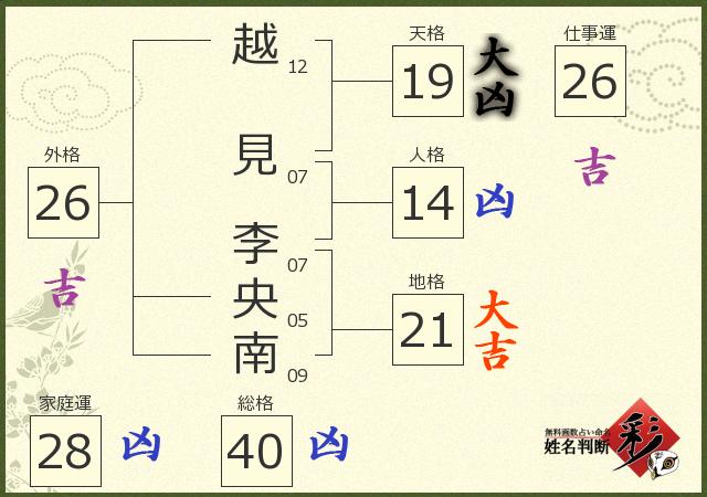 診断結果画像