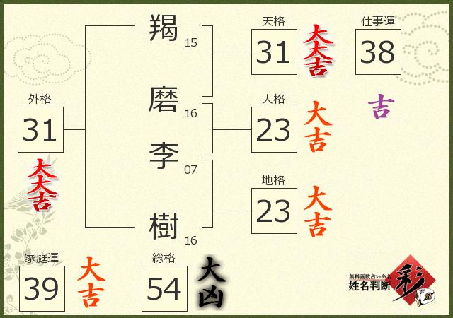 診断結果画像
