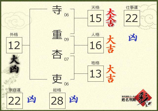 診断結果画像