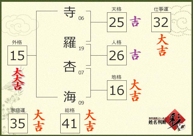診断結果画像