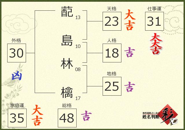 診断結果画像