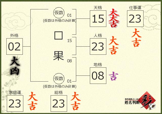 診断結果画像