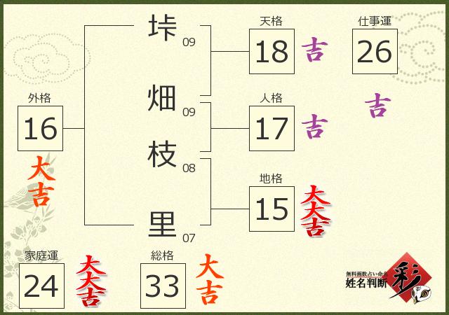診断結果画像