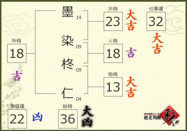 診断結果画像