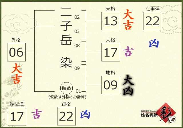 診断結果画像