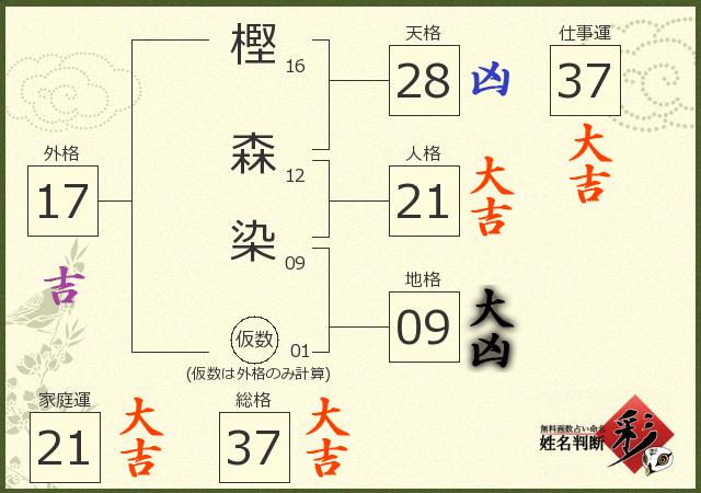 診断結果画像