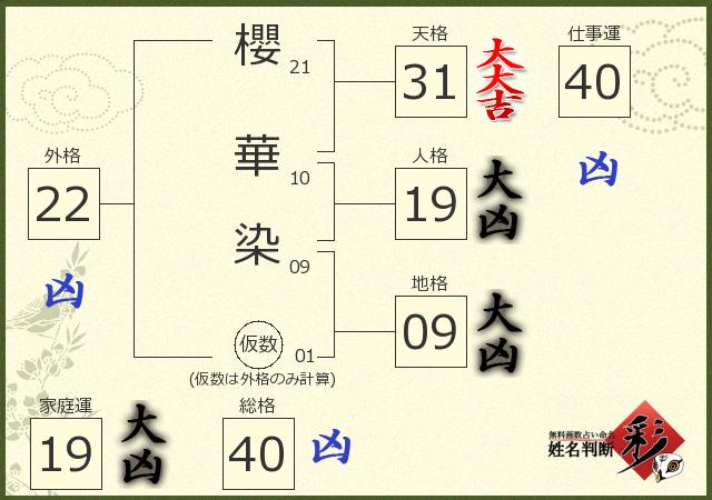 診断結果画像