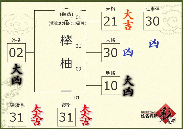 診断結果画像
